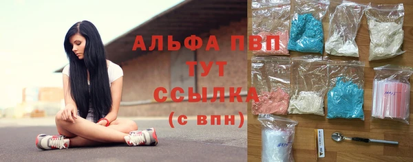 сатива Алексеевка