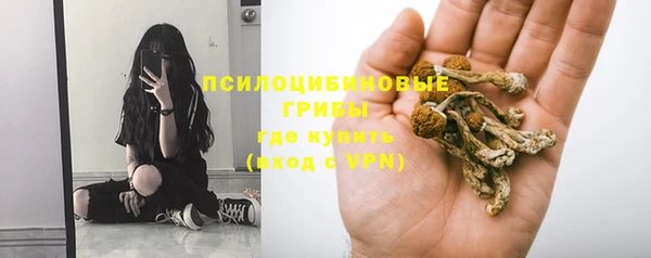 шишки Алексин