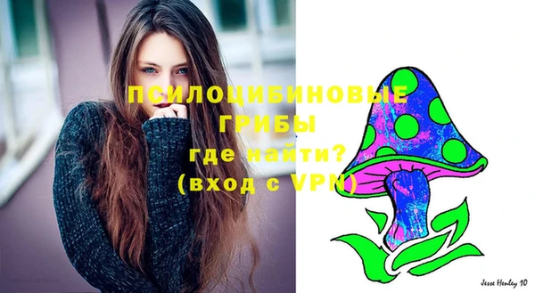 СК Алзамай