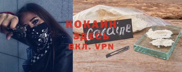 шишки Алексин