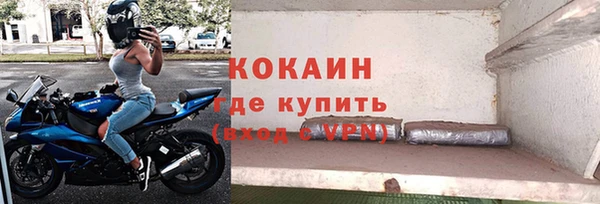 шишки Алексин
