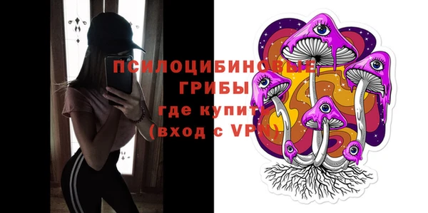 шишки Алексин