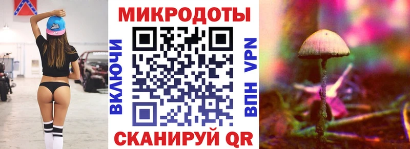 KRAKEN зеркало  Чернушка  Галлюциногенные грибы Cubensis  наркошоп 